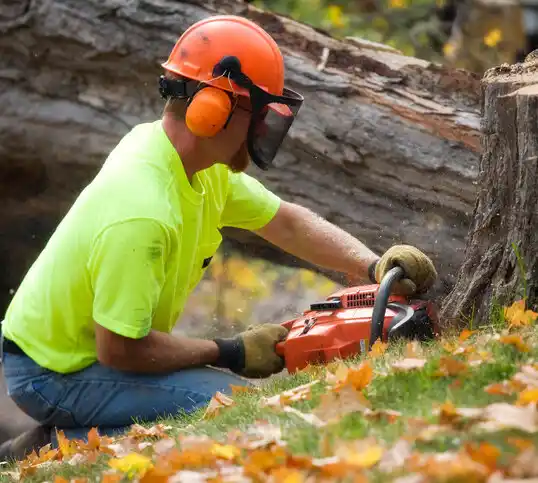 tree services Bessemer